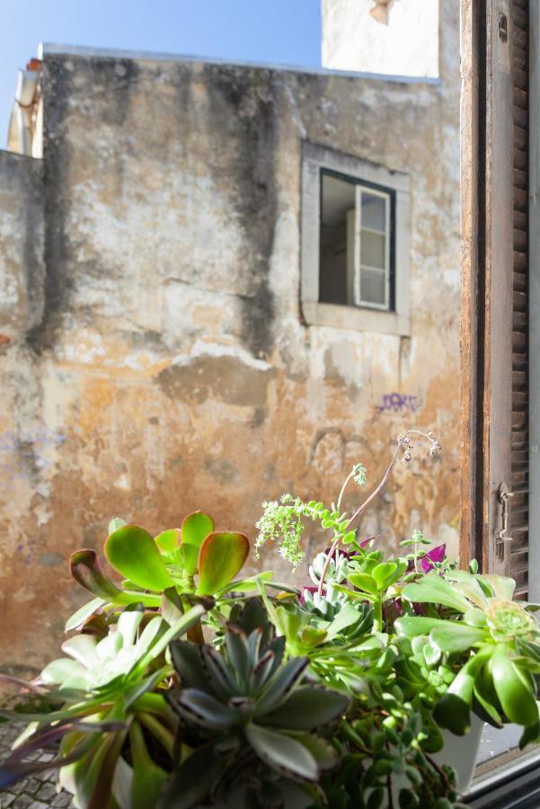 Appartement New! Nomad Dreams N.3 à Cascais Extérieur photo